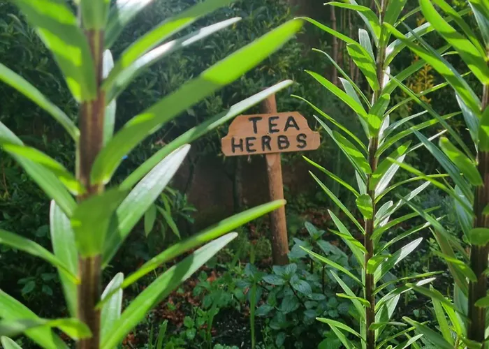 Horská chata Abrigo Da Serra- Nature Trails Santana (Madeira)